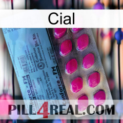 Cial 35